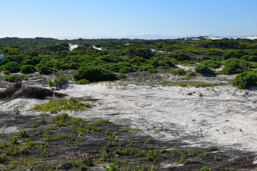 0 Bedroom Property for Sale in Struisbaai Western Cape